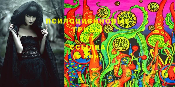 гидропоника Пересвет