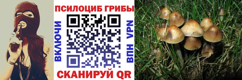 Псилоцибиновые грибы Magic Shrooms  Торопец 