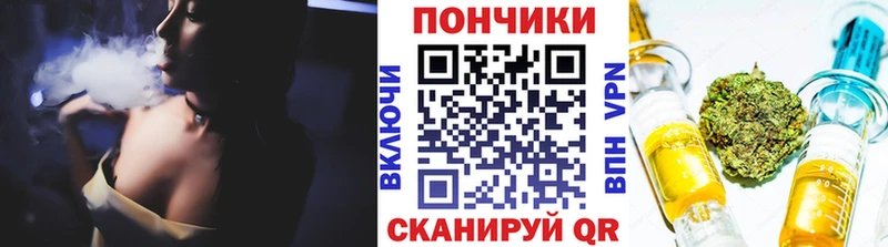 Каннабис гибрид  Торопец 